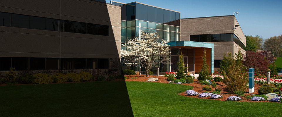 Collingswood Landscapers