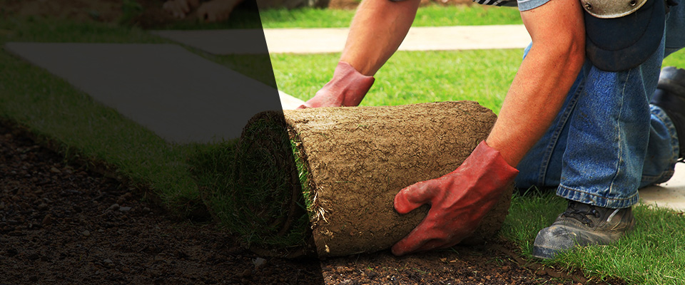 Collingswood Landscapers